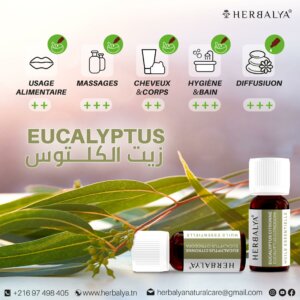 Huile essentielle d’eucalyptus citronné