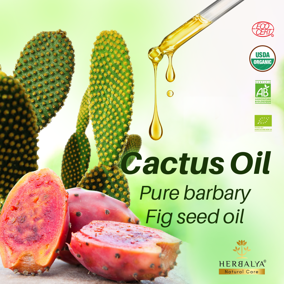 You are currently viewing Tunisian Organic Cactus Seed Oil a new source of beauty PAMPAT