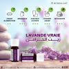 Huile essentielle de lavande vraie 10ml – Image 2