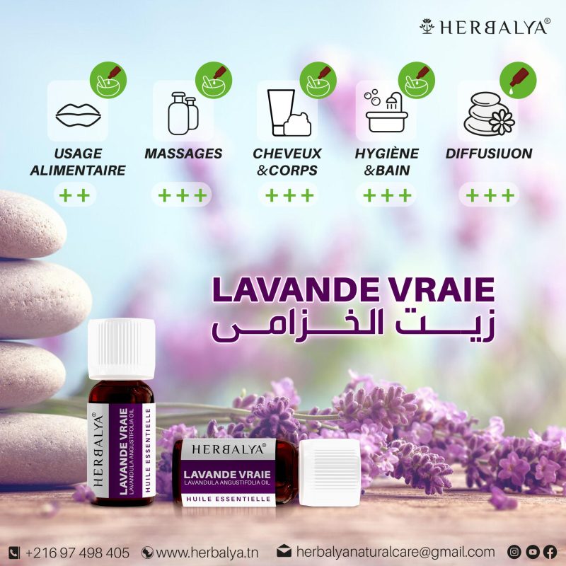 Huile essentielle de lavande vraie 10ml – Image 2