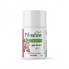 PILOSLOW ROSE DE DAMAS GERANIUM